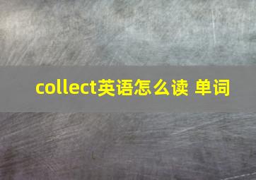 collect英语怎么读 单词